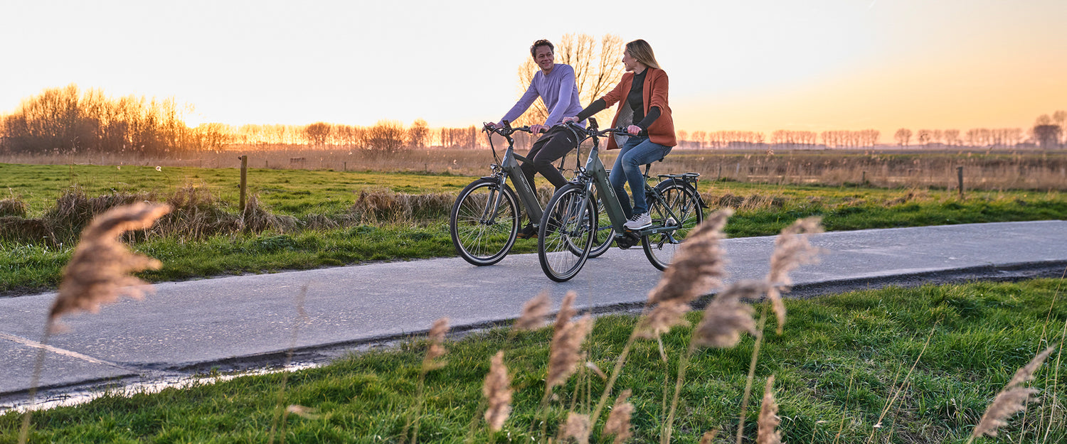 electric bicycles for sale in ireland Veloci E-bike Supplier